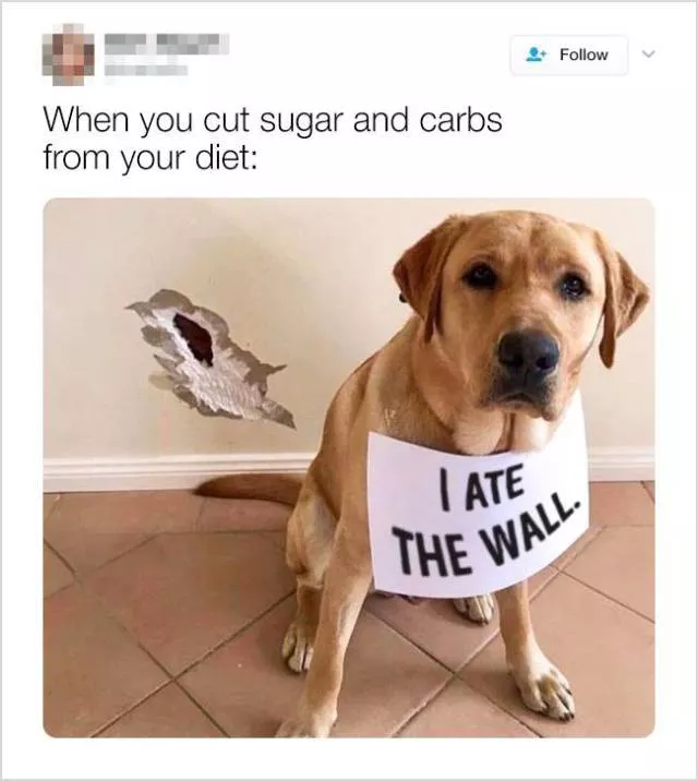 Cute and funny animals in pictures and videos - #3 