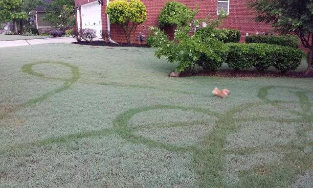 Picdump 250 - #5 