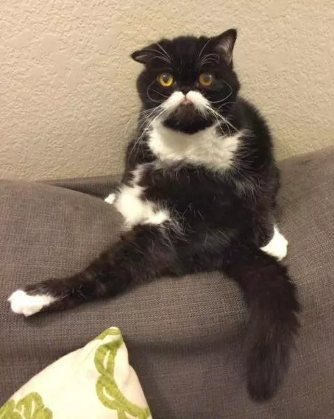 Picdump 49 - #31 