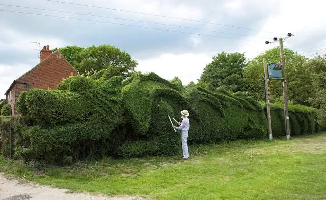 Picdump 49 - #41 