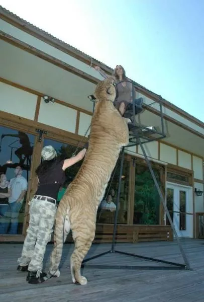 Picdump 49 - #51 