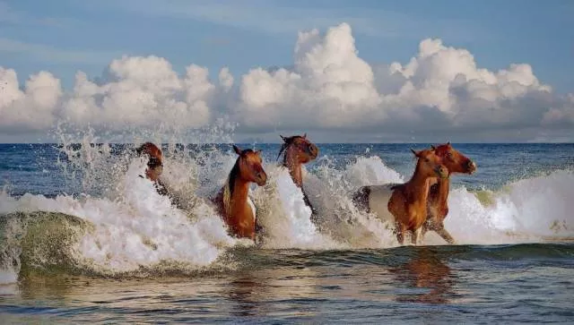 Picdump 49 - #63 