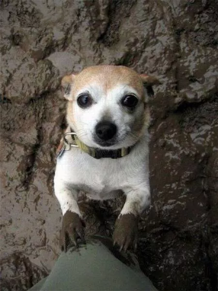Picdump 49 - #69 