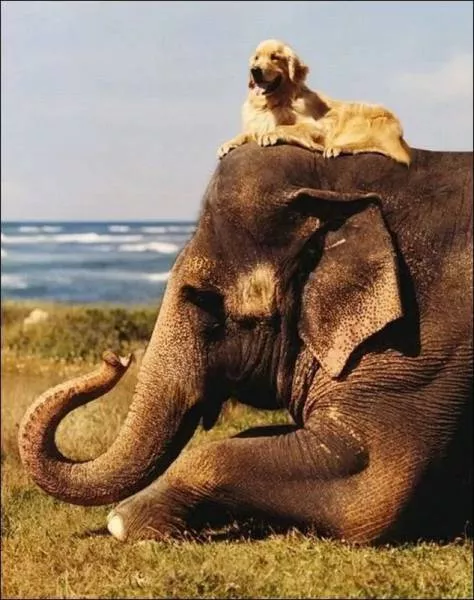 Picdump 49 - #73 