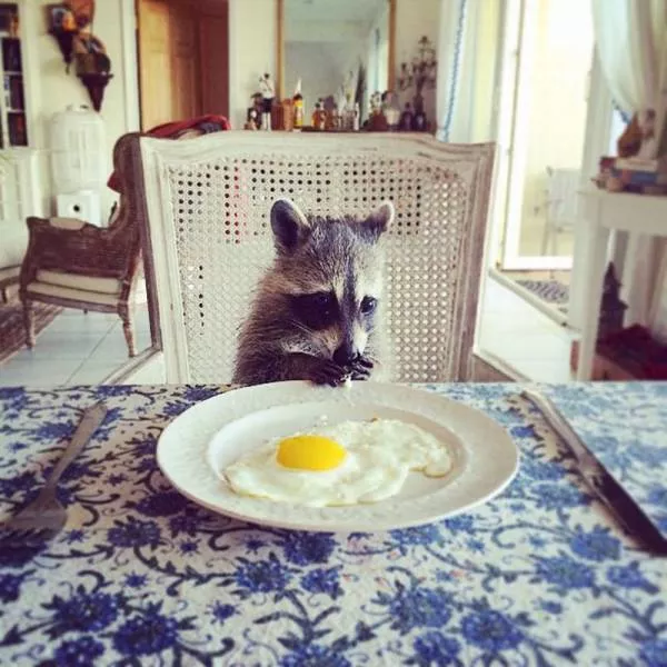 Picdump 49 - #78 