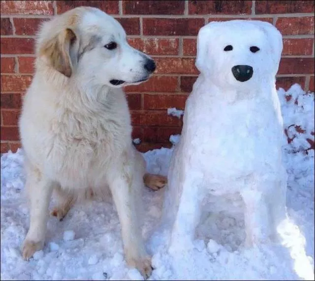 Picdump 49 - #91 
