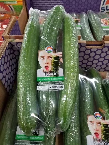 Picdump 251 - #24 