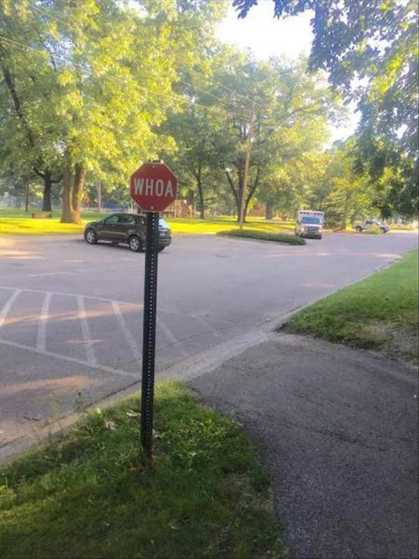 Picdump 251 - #42 