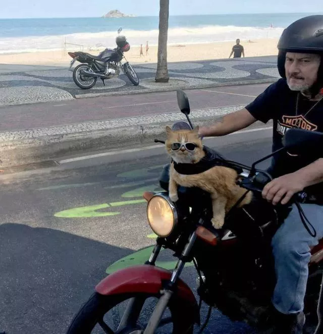 Picdump 252 - #11 