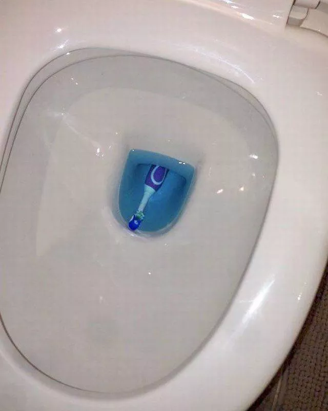 Picdump 252 - #23 