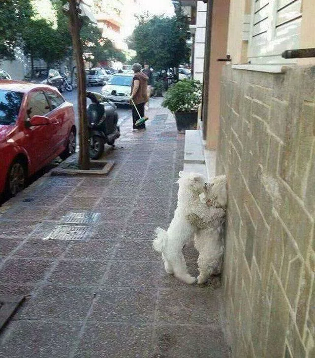 Picdump 252 - #25 