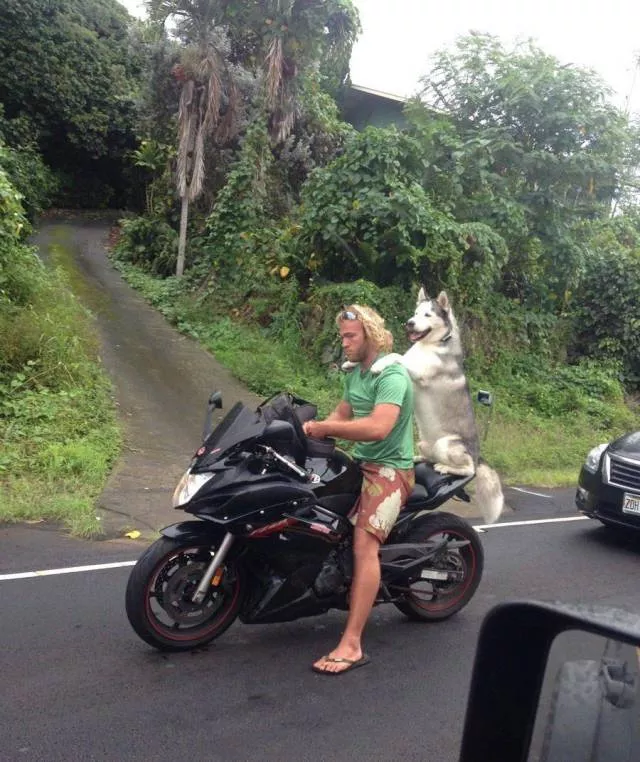 Picdump 252 - #40 