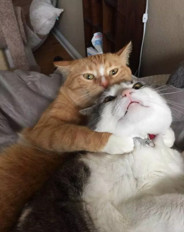 Picdump 252 - #63 
