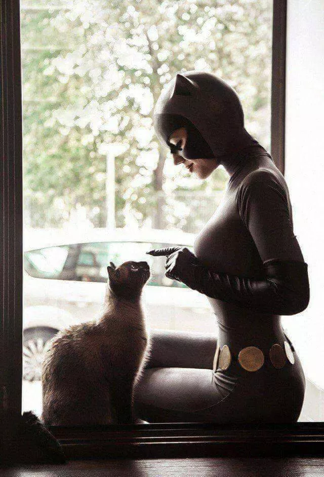 Picdump 252 - #66 