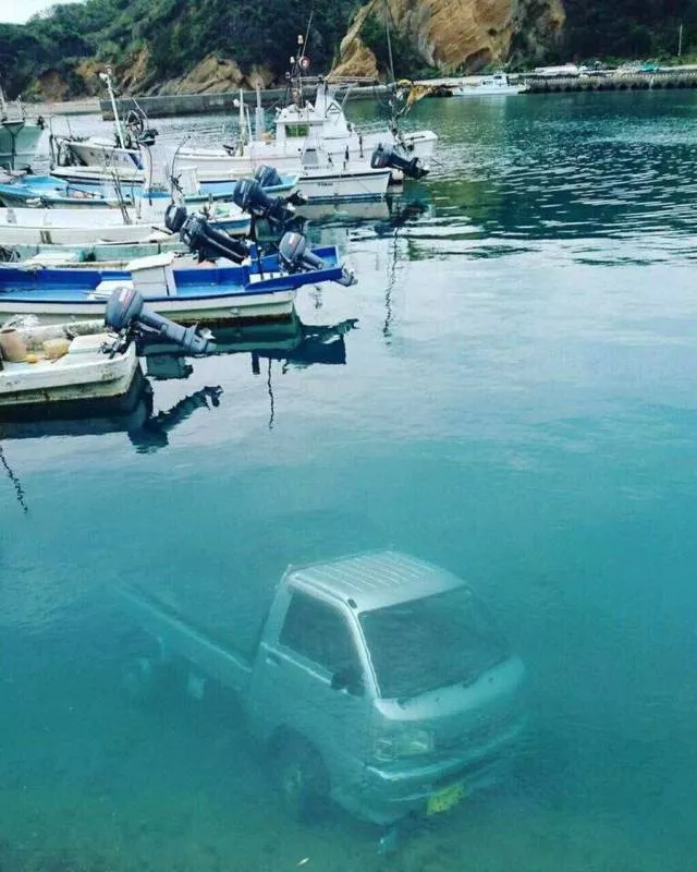 Picdump 252 - #82 