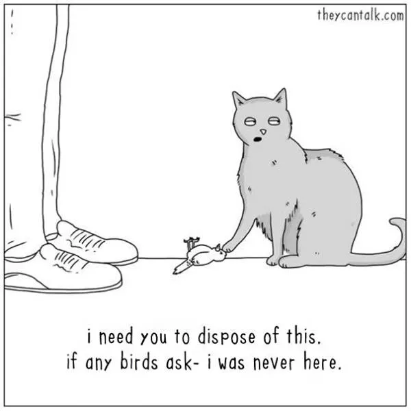 Etes vous pour les chats ou les chiens - #1 