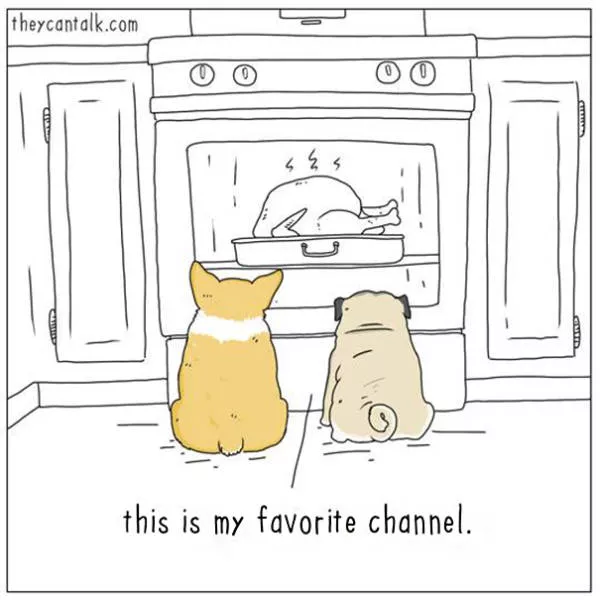 Are you for cats or dogs - #10 