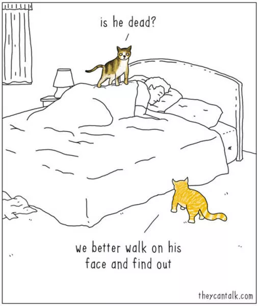 Are you for cats or dogs - #12 