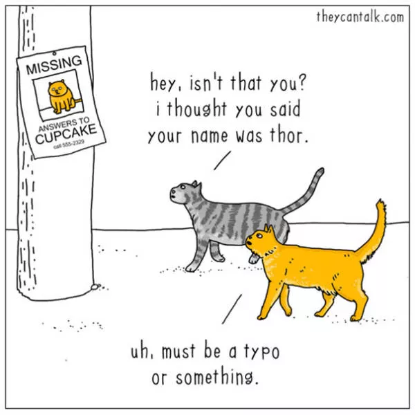 Etes vous pour les chats ou les chiens - #13 