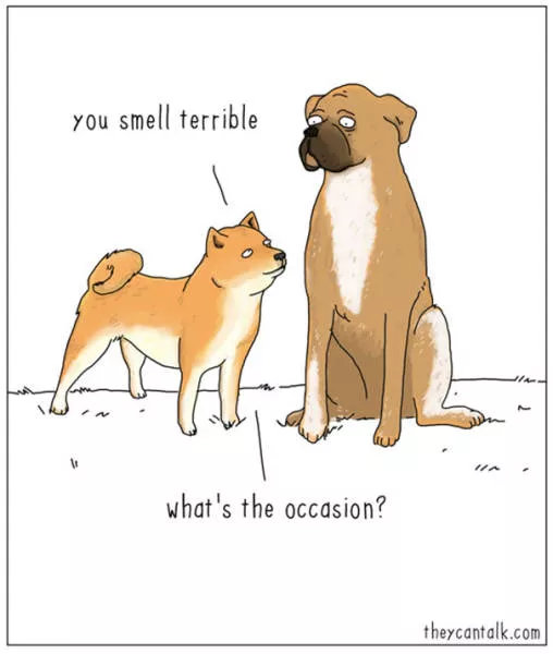Etes vous pour les chats ou les chiens - #14 