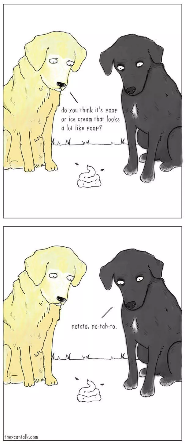 Etes vous pour les chats ou les chiens - #15 