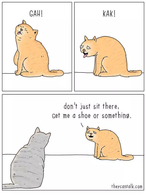 Etes vous pour les chats ou les chiens - #16 