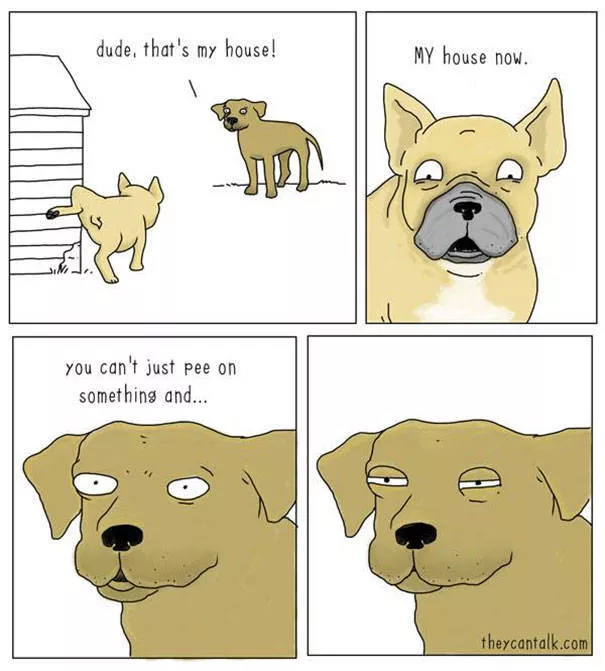 Etes vous pour les chats ou les chiens - #18 