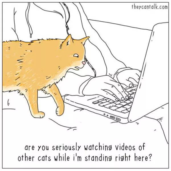 Etes vous pour les chats ou les chiens - #2 