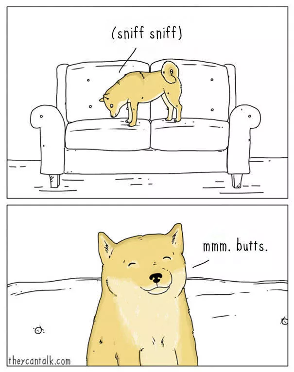 Etes vous pour les chats ou les chiens - #20 