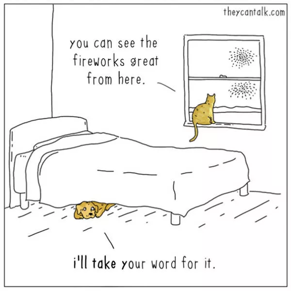 Are you for cats or dogs - #21 