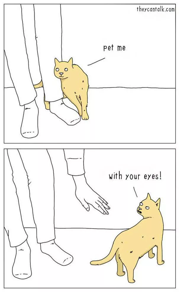 Are you for cats or dogs - #23 