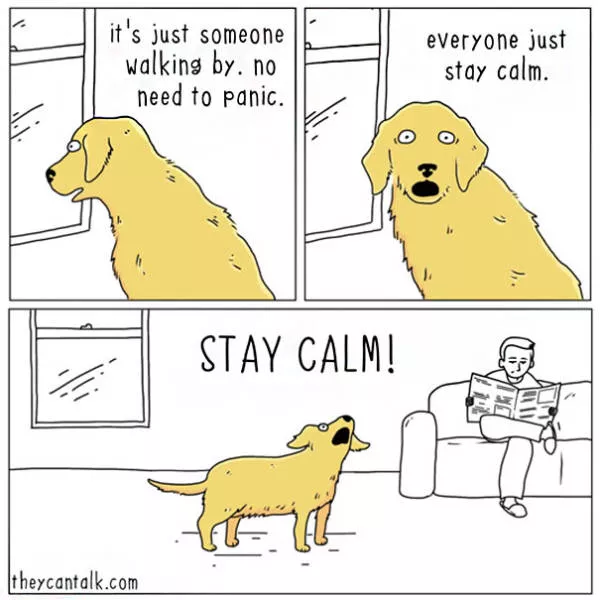 Etes vous pour les chats ou les chiens - #24 