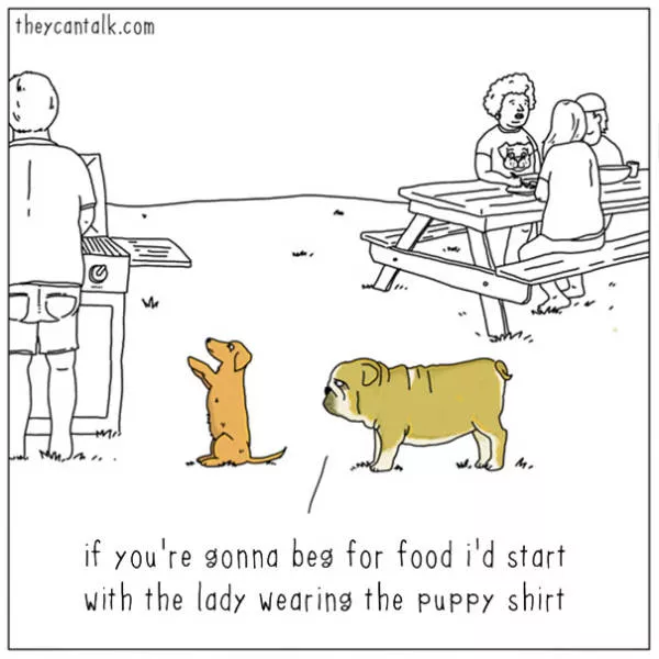 Are you for cats or dogs - #25 
