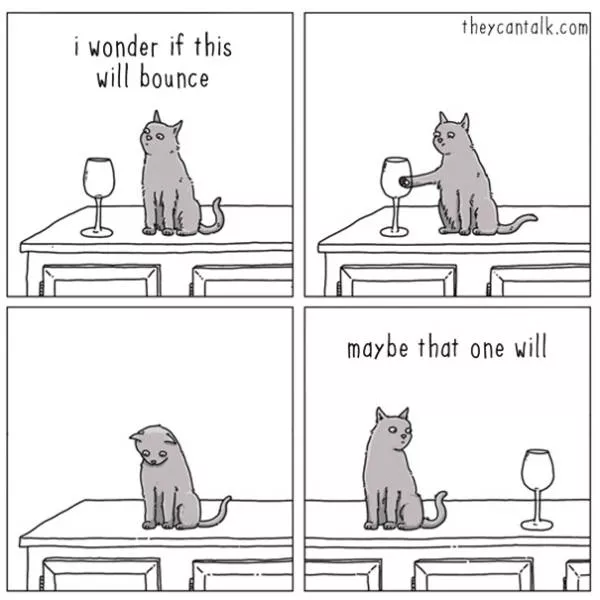 Are you for cats or dogs - #26 