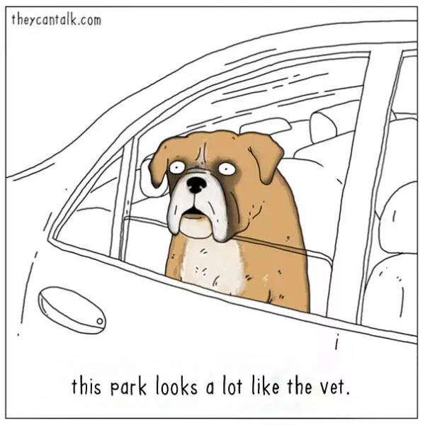 Etes vous pour les chats ou les chiens - #27 