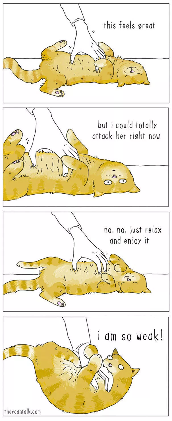 Etes vous pour les chats ou les chiens - #28 