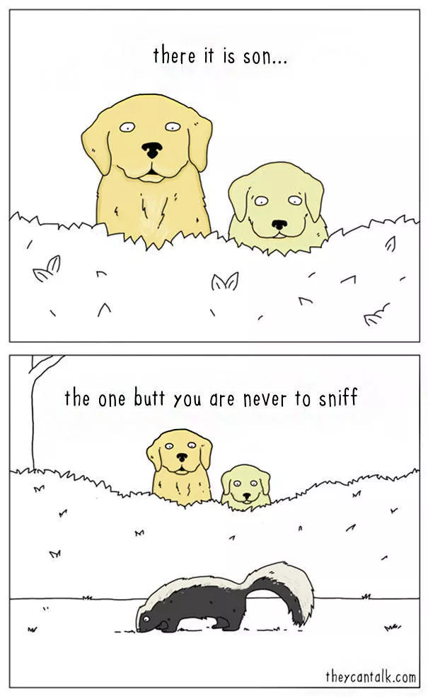 Are you for cats or dogs - #29 