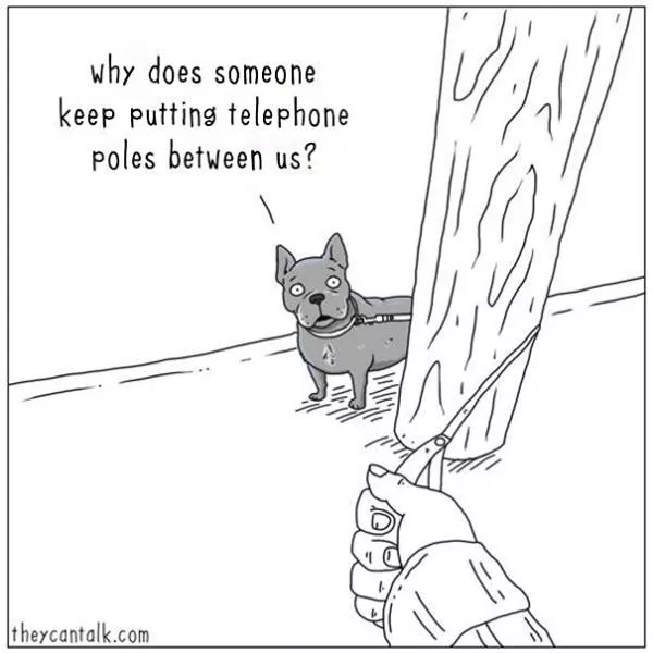Etes vous pour les chats ou les chiens - #3 
