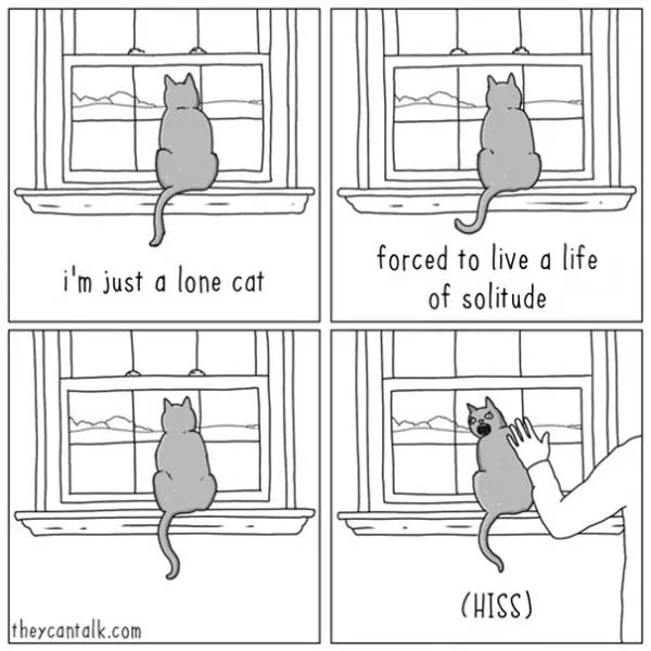 Are you for cats or dogs - #31 