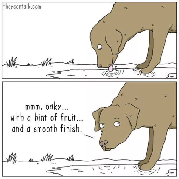 Are you for cats or dogs - #6 