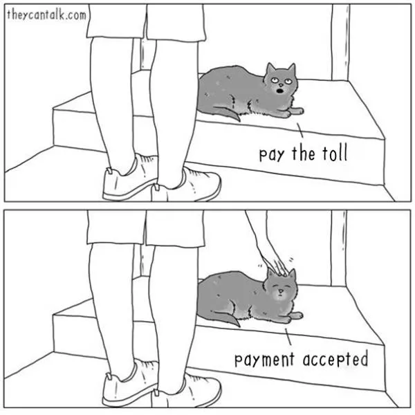 Etes vous pour les chats ou les chiens