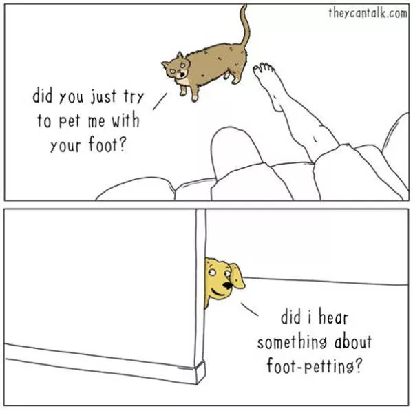 Are you for cats or dogs - #9 