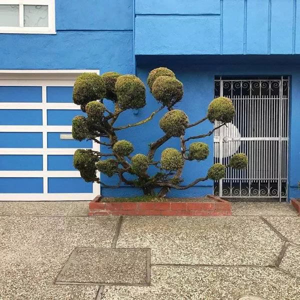 Les choses les plus parfaites du monde