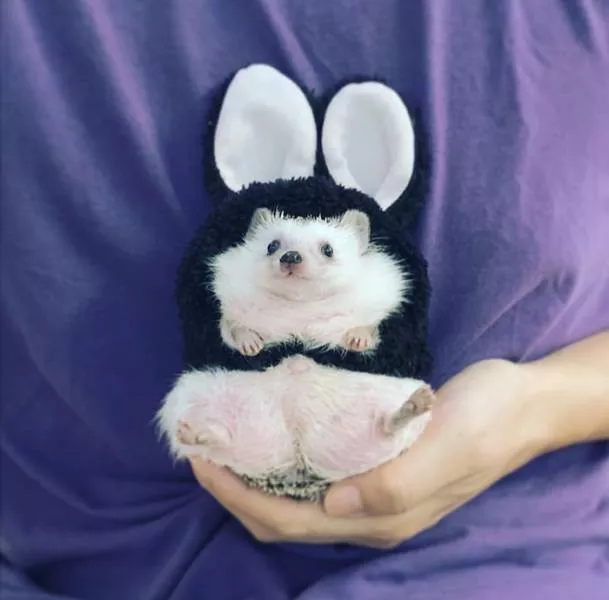 Picdump 253 - #19 