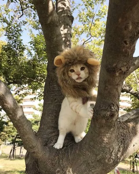 Picdump 253