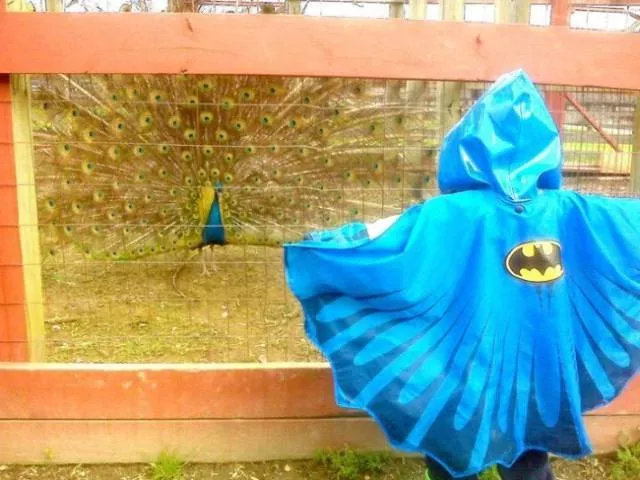 Children can always make you laugh - #1 
