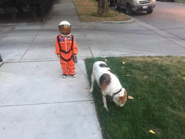Children can always make you laugh - #16 