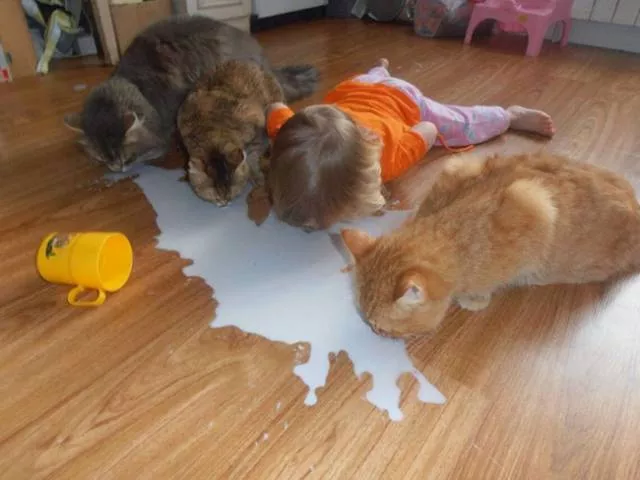 Children can always make you laugh - #29 