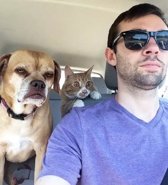 Chiens mignons et hilarants en action