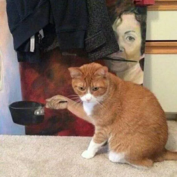 Picdump 255 - #17 